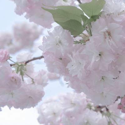 弥勒FurryQQ群介绍