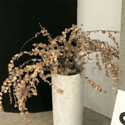 Furry角色比例设计技巧福瑞交流群